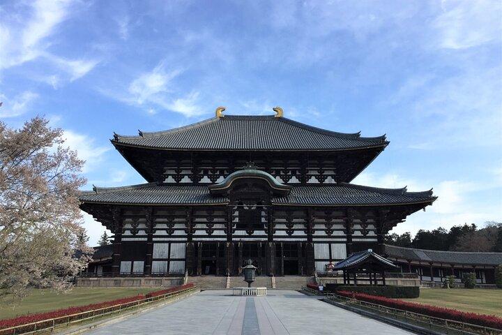 Osaka and Nara Day Tour with Private Transportation