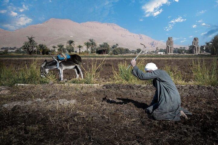 Meet the Local Families in Luxor and Discover Ancient Traditions