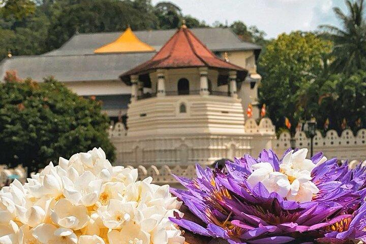 Kandy City Sightseeing and Ambuluwawa Tower by Tuk Tuk Tour