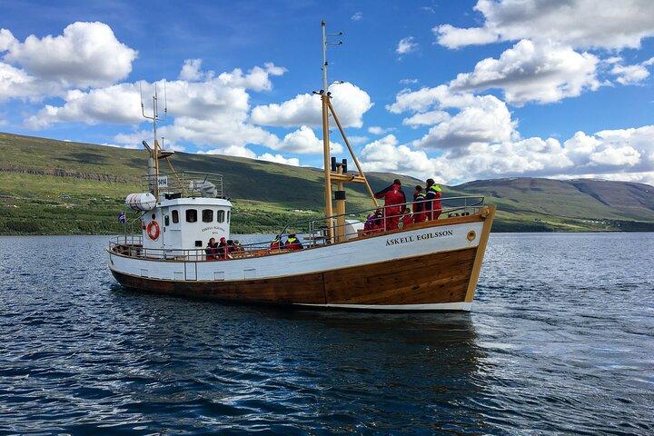 Whale Watching from Akureyri Port