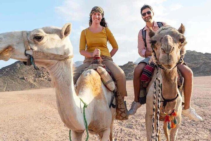 Sharm El Sheikh Desert Safari Quad, Camel Ride, Dinner&Stargazing