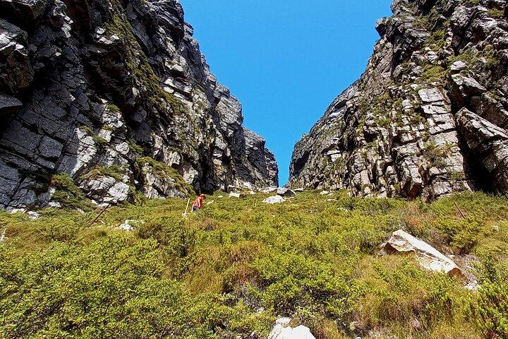 Table Mountain Hike via Platteklip Gorge at Sunrise