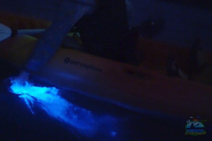 Florida Bioluminescence Kayaking Tour (Titusville)