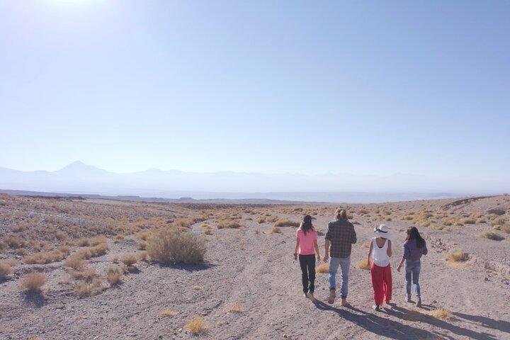Rainbow Valley and Petroglyphs of Yerbas Buenas