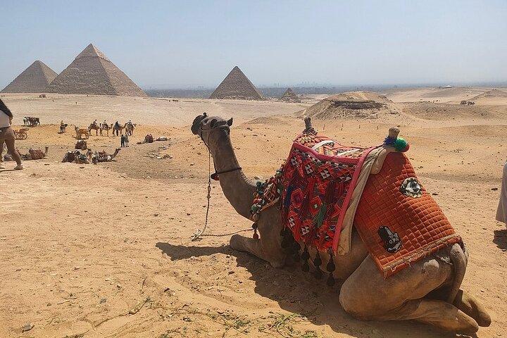 Cairo Highlights 4 days: Transfers, Tours and Accommodation incl.