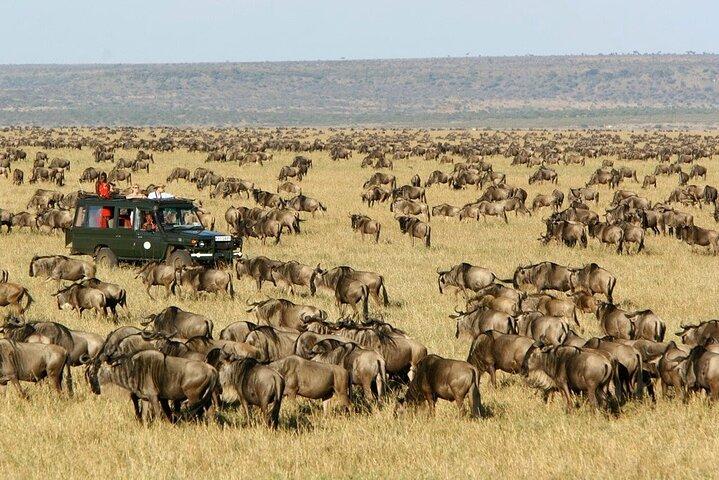 3Days Masai Mara Wildlife Safari on 4WD Jeep
