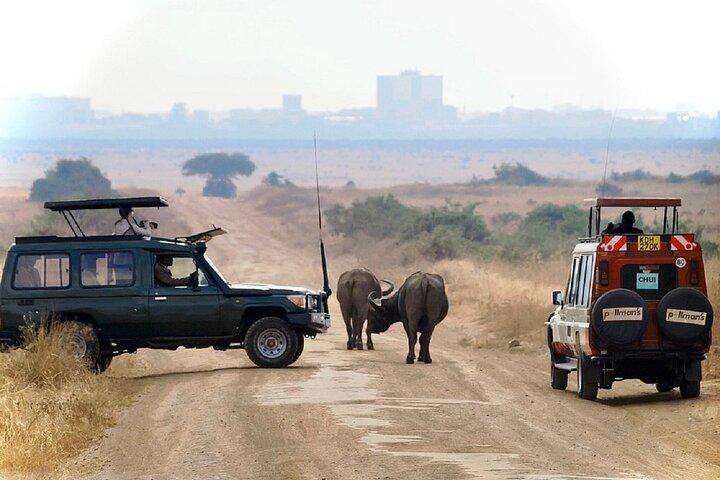 Nairobi: 5-Hour Nairobi National Park Safari Game Drive