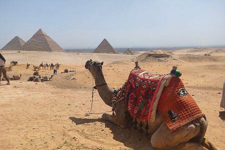 Skip-the-Line Grand Egyptian museum & Pyramids Full Day Tour VIP