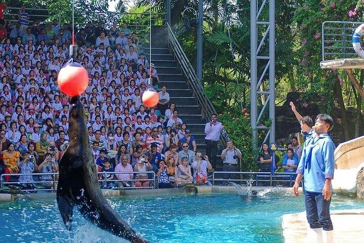 Safari World & Marine Park Bangkok Full-Day with Lunch + Transfer