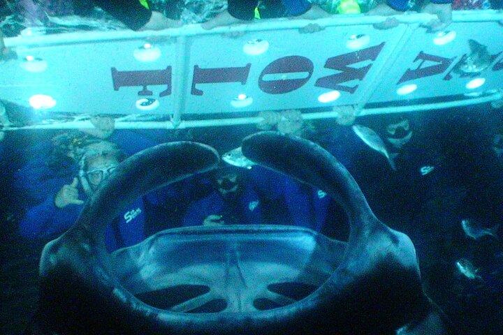 Kona Manta Ray Night Snorkel— Small Group - Wetsuit Included