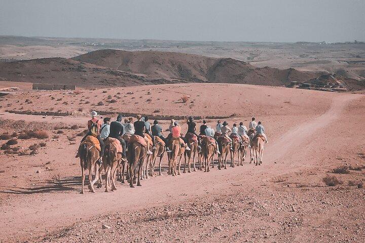 Marrakech Camel Ride and Traditional Dinner in Agafay Desert