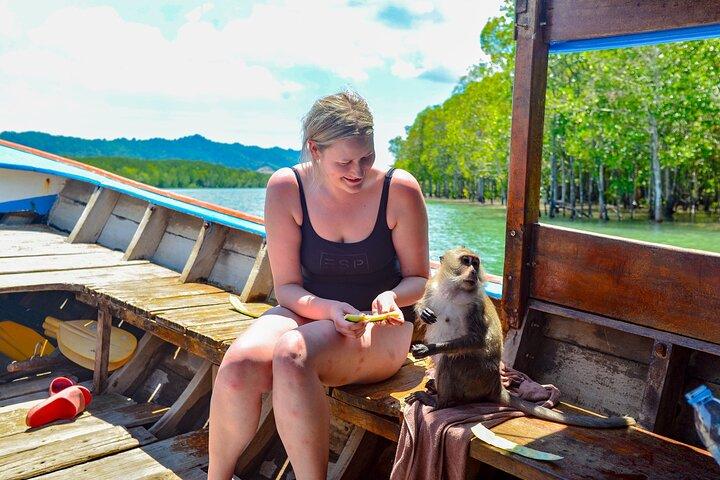 Koh Lanta Mangrove and Monkey Point Longtail Boat Tour
