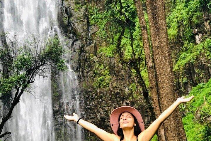 Materuni Waterfalls and Coffee tour with lunch