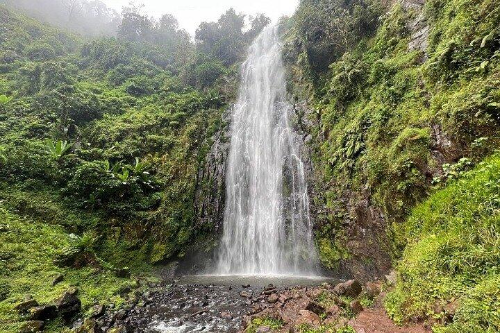 Materuni Waterfalls and Coffee tour with lunch