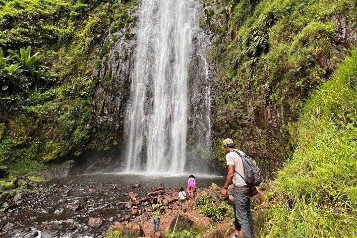 Materuni Waterfalls and Coffee tour with lunch