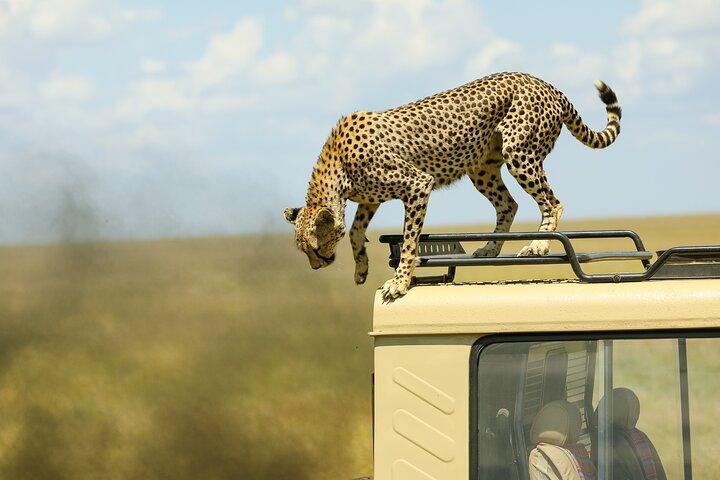 3 Days Serengeti and Ngorongoro joining Camping Safari