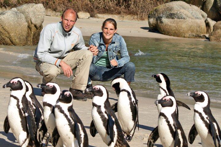 Table Mountain, Cape Point & Penguins Shared Tour incl. Park Fees