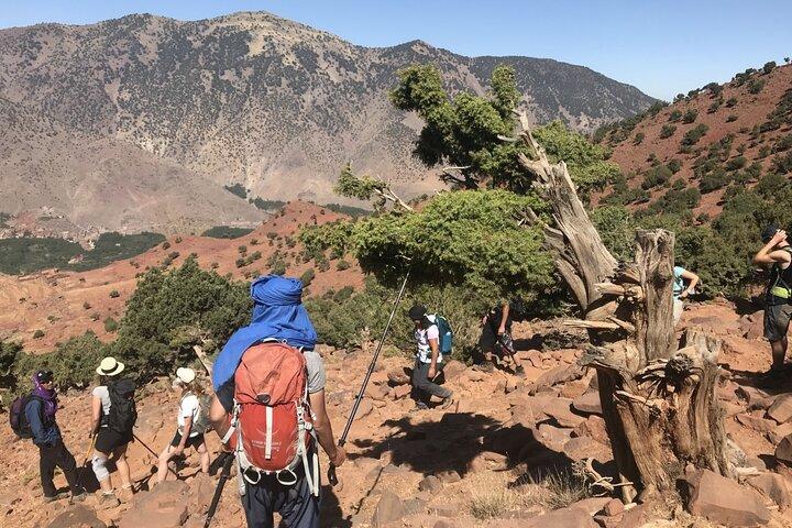 Discover the High Atlas – Guided Day Trip in a private group