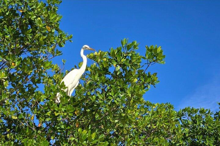 Florida Keys Kayak And Paddleboard Rentals