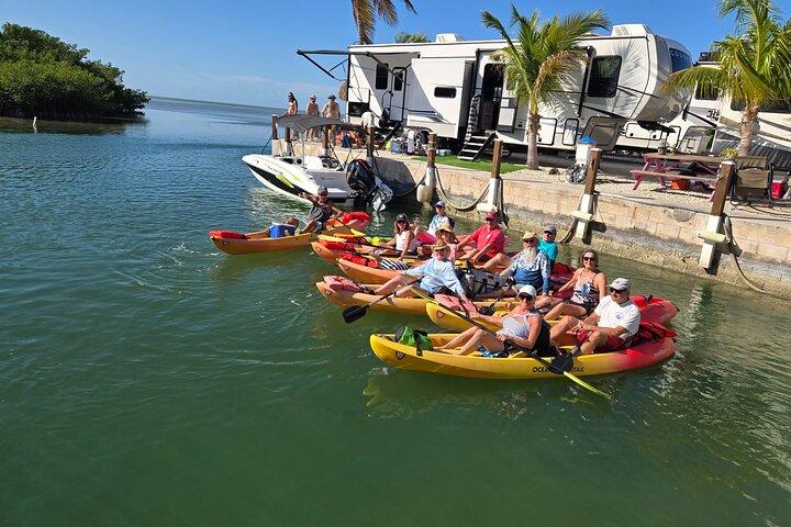 Guided Mangrove Eco Tours Kayak or Paddleboard Adventure