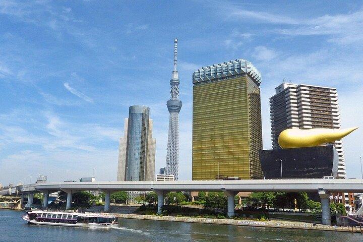 Tokyo Private Tour: Temples, Culture & Modern City Highlights