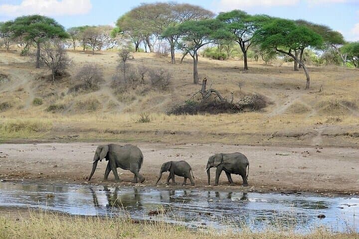 3 Day Masai Mara Safari Mid Range Accommodation