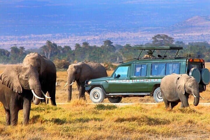 3 Day Masai Mara Safari Mid Range Accommodation