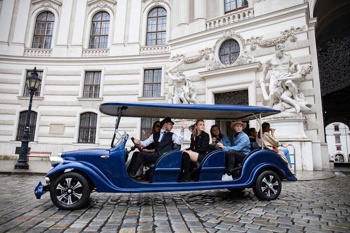 Panoramic Vienna City Tour Passing by the Most Famous Landmarks