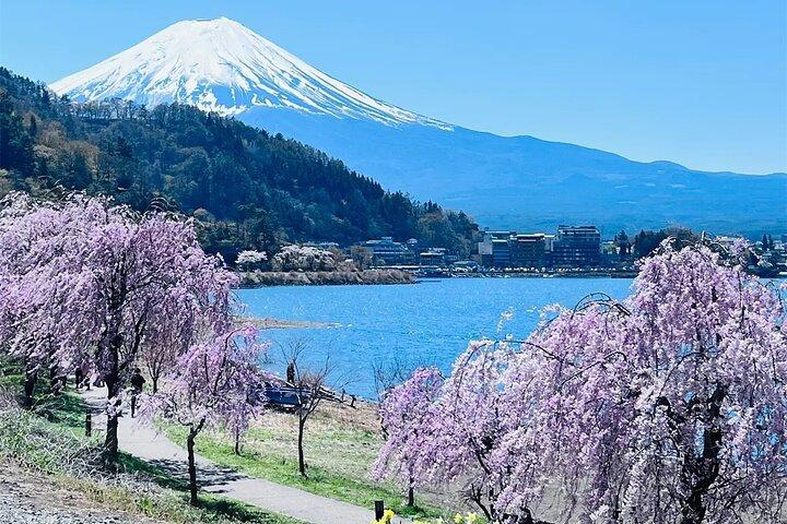 Mt Fuji Lake Kawaguchi and Yamanakako Onsen Tour from Tokyo