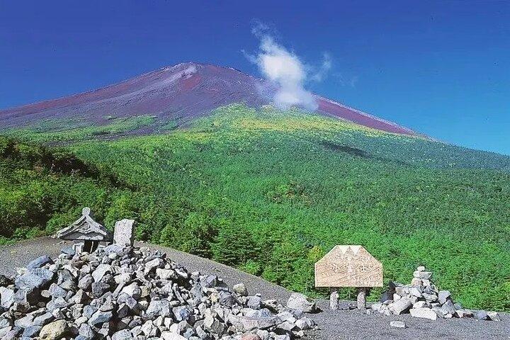 Mt Fuji Lake Kawaguchi and Yamanakako Onsen Tour from Tokyo
