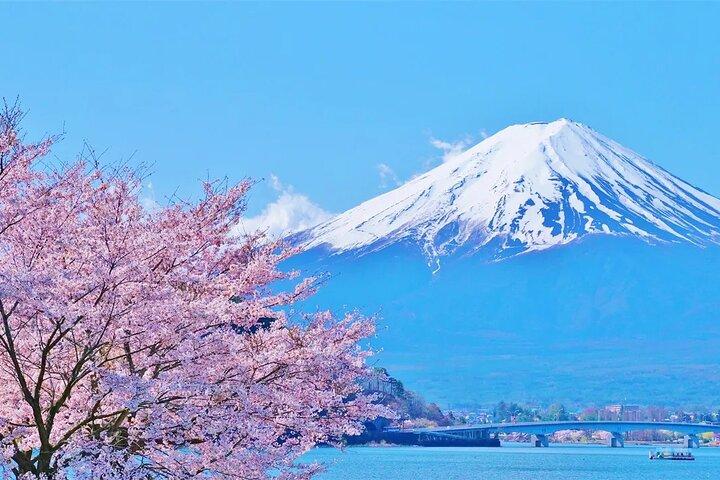 Mt Fuji Lake Kawaguchi and Yamanakako Onsen Tour from Tokyo