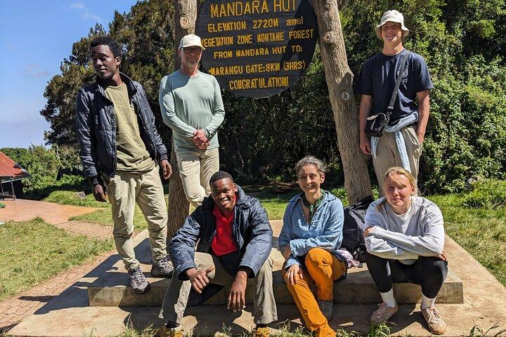 Mount Kilimanjaro Day Hike/ Climbing: Top Rated Experience