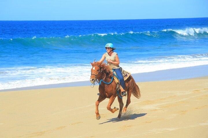 Beach UTV Adventure with Free Camel and Horseback Ride