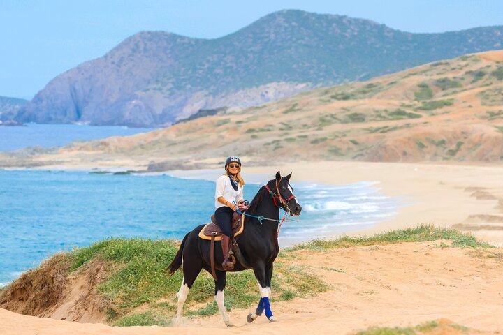 Beach CAN-AM SXS X3 and Horseback Ride in Cabo