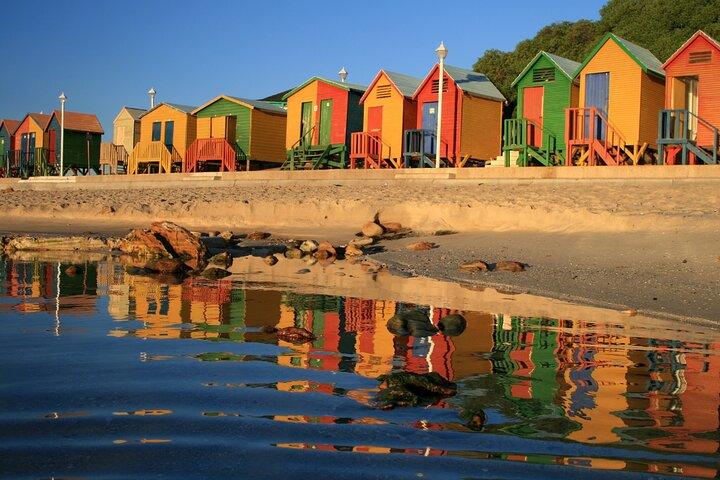 Table Mountain, Cape Point & Penguins Shared Tour incl. Park Fees