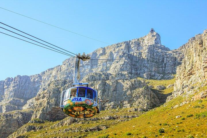 Table Mountain, Cape Point & Penguins Shared Tour incl. Park Fees