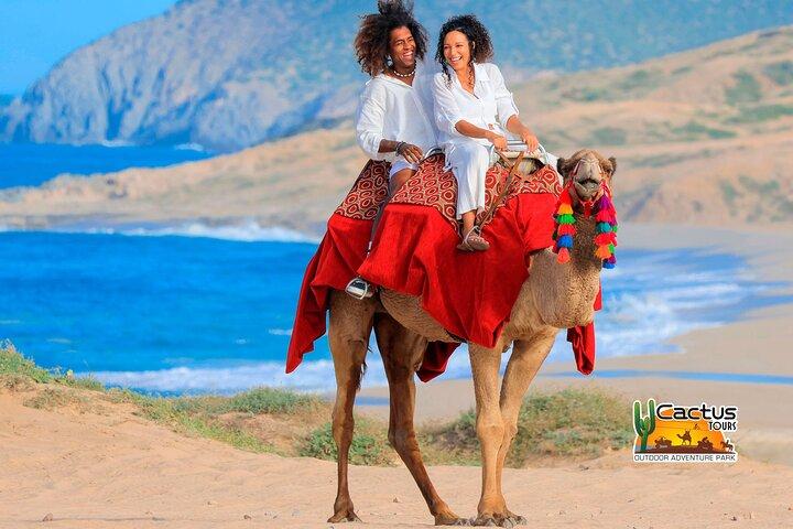 Beach Camel Ride and Encounter in Cabo