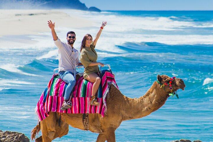 Beach UTV and Camel Ride Combo in Cabo