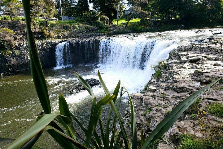 Haruru Waterfalls and Glow Worm Caves Tour