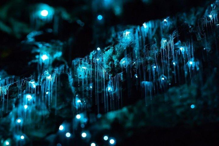 Haruru Waterfalls and Glow Worm Caves Tour