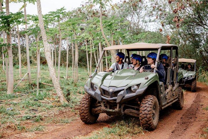 Oahu's North Shore: 8-Line Zipline Adventure