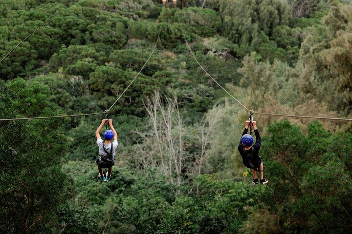 Oahu's North Shore: 8-Line Zipline Adventure