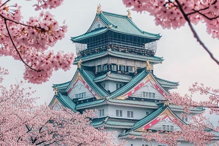Osaka 8hr Highlights Private Tour with Licensed Guide