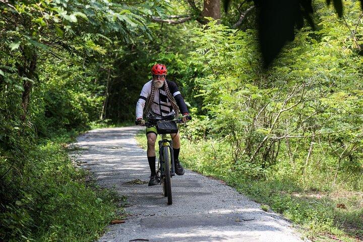 Angkor Jungle Biking Adventure Private Cycling Tour