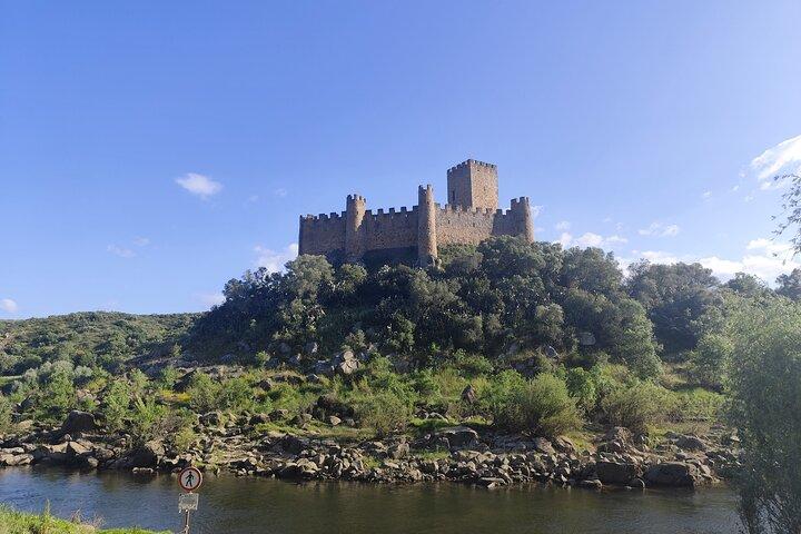 Tour / Transfer Lisbon Porto or Porto Lisbon