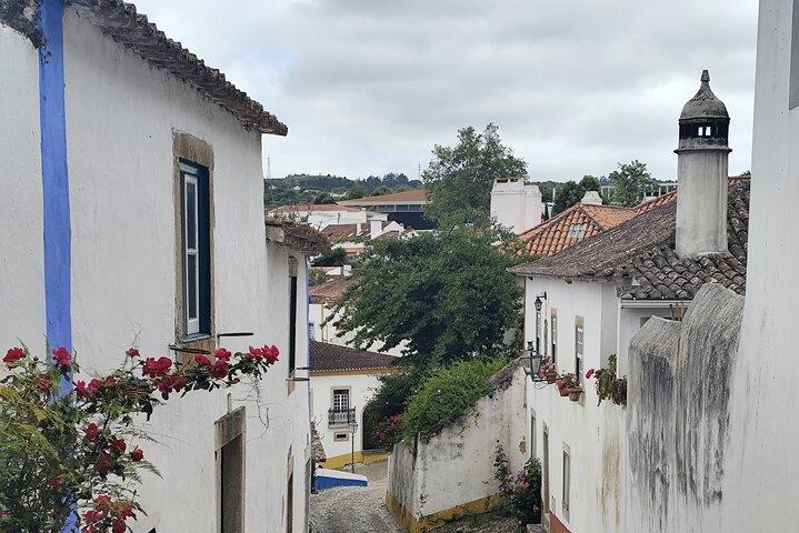 Tour / Transfer Lisbon Porto or Porto Lisbon