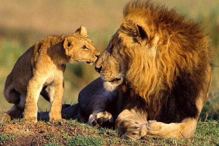 2 Day Aberdares National Park Private Safari