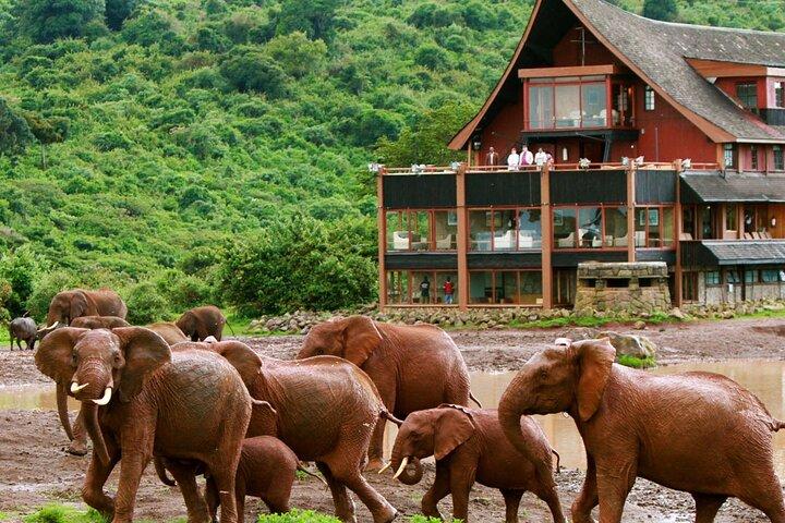 2 Day Aberdares National Park Private Safari