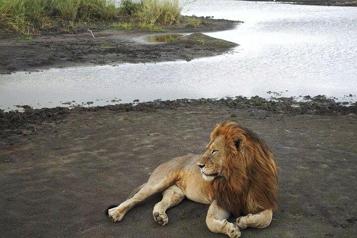 2 Days Adventure Group Camping Tour Tarangire and Ngorongoro