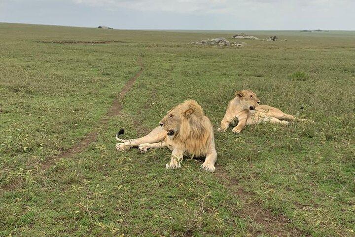 2 Days Adventure Group Camping Tour Tarangire and Ngorongoro